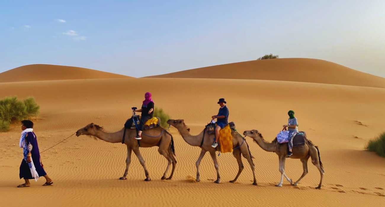 camel trekking in merzouga