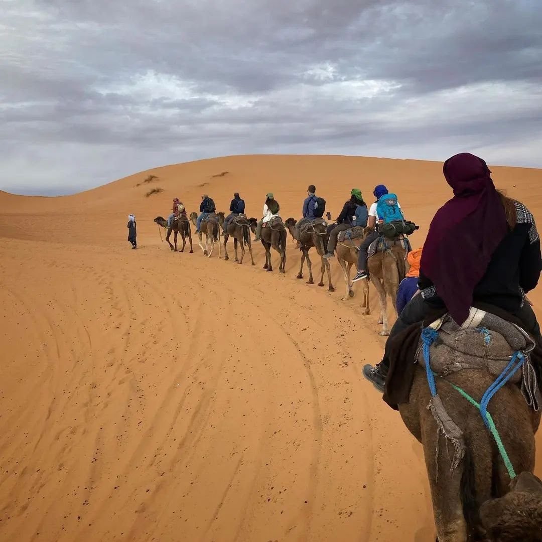 Camel trek in the Erg Chebbi dunes, Merzouga