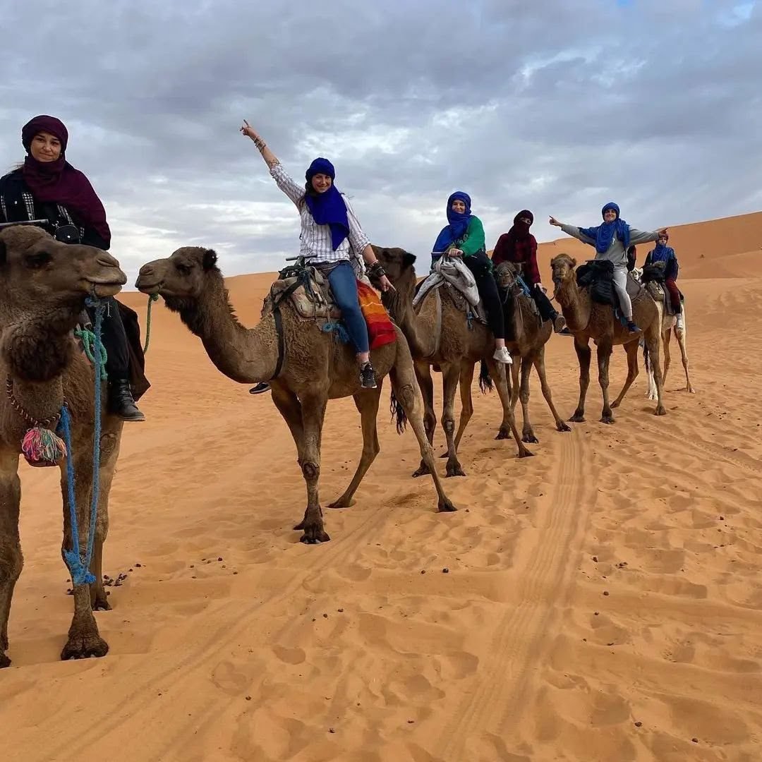 Camel trek in the Erg Chebbi dunes, Merzouga