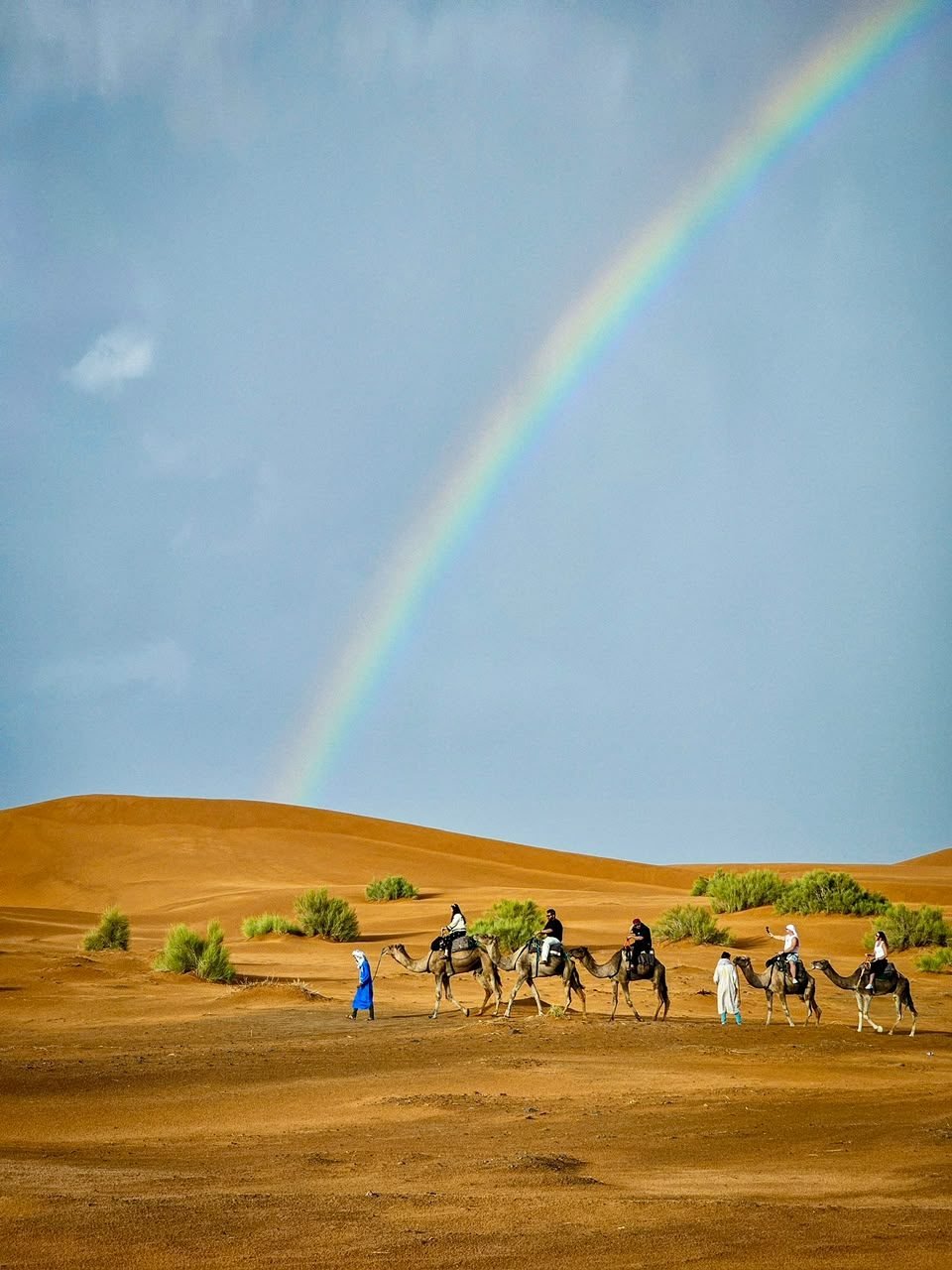 Camel trek in the Erg Chebbi dunes, Merzouga