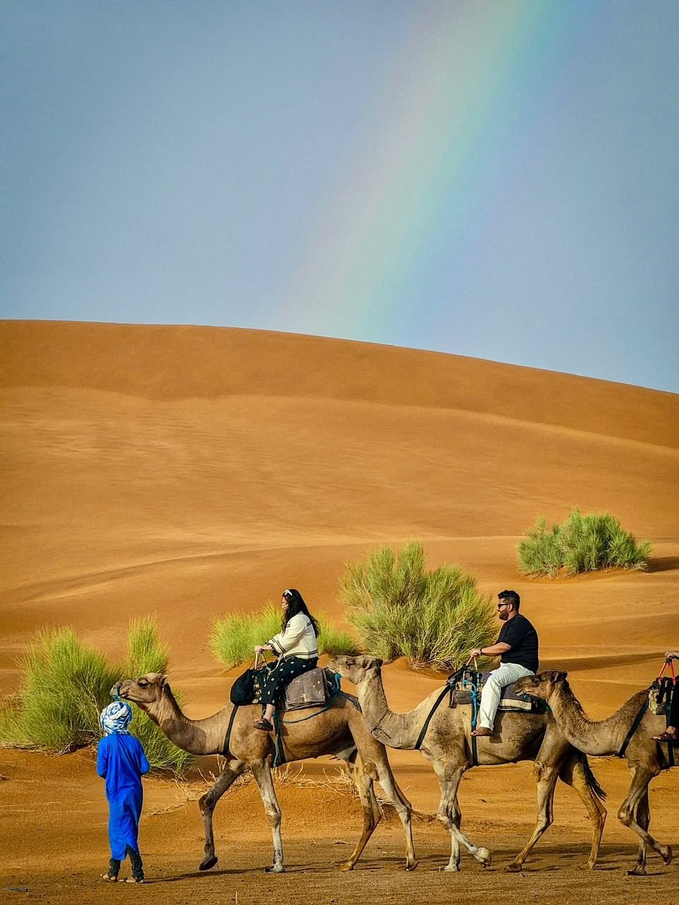 Camel trek in the Erg Chebbi dunes, Merzouga
