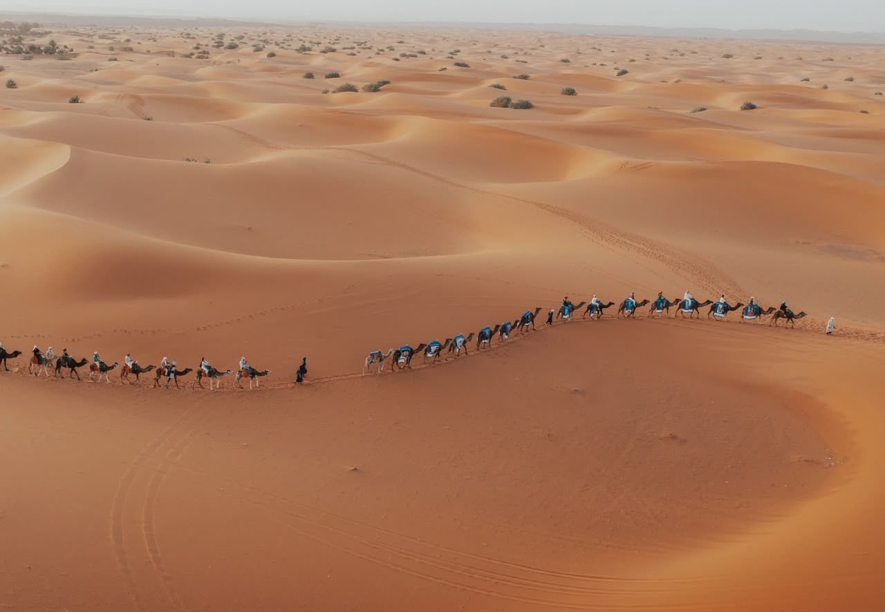 Camel trek in the Erg Chebbi dunes, Merzouga