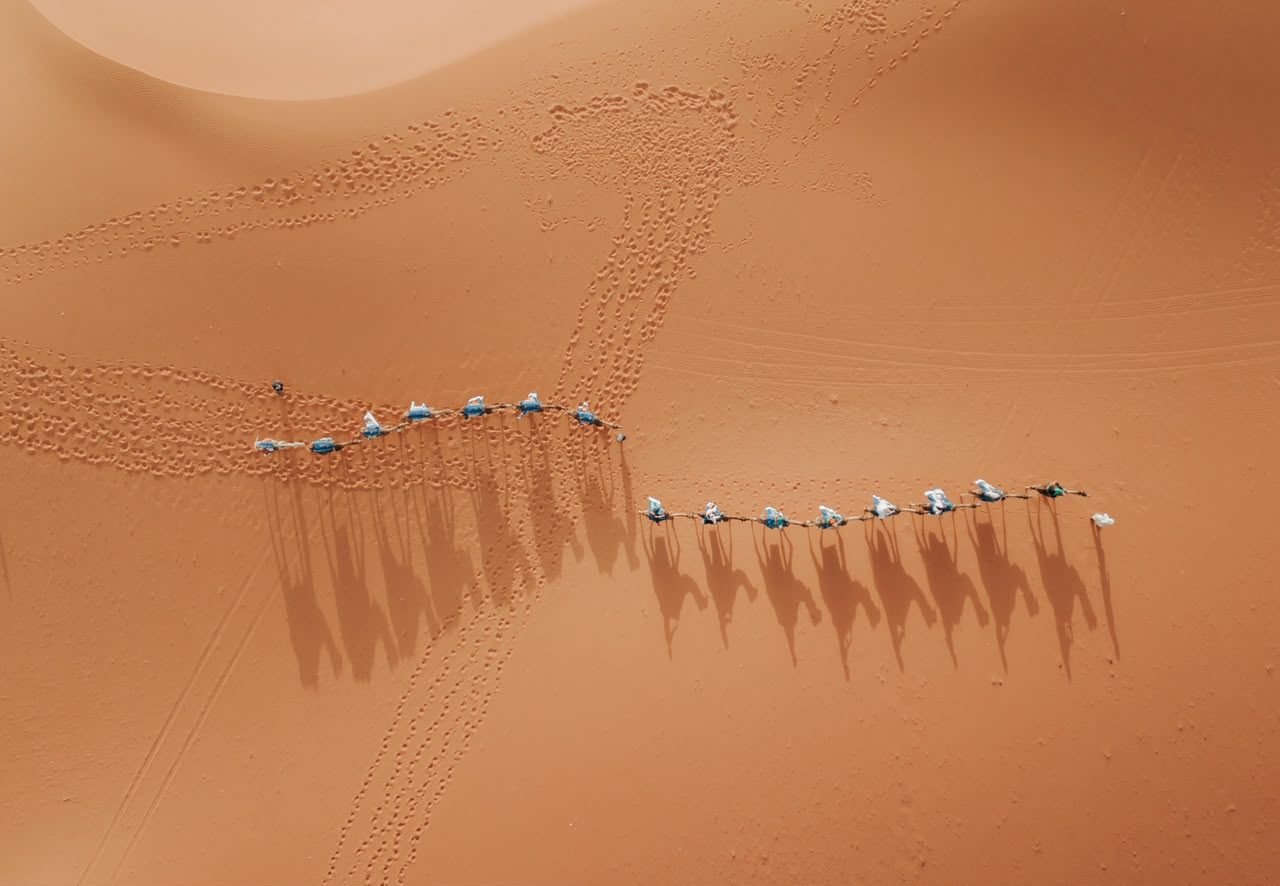 Camel trek in the Erg Chebbi dunes, Merzouga