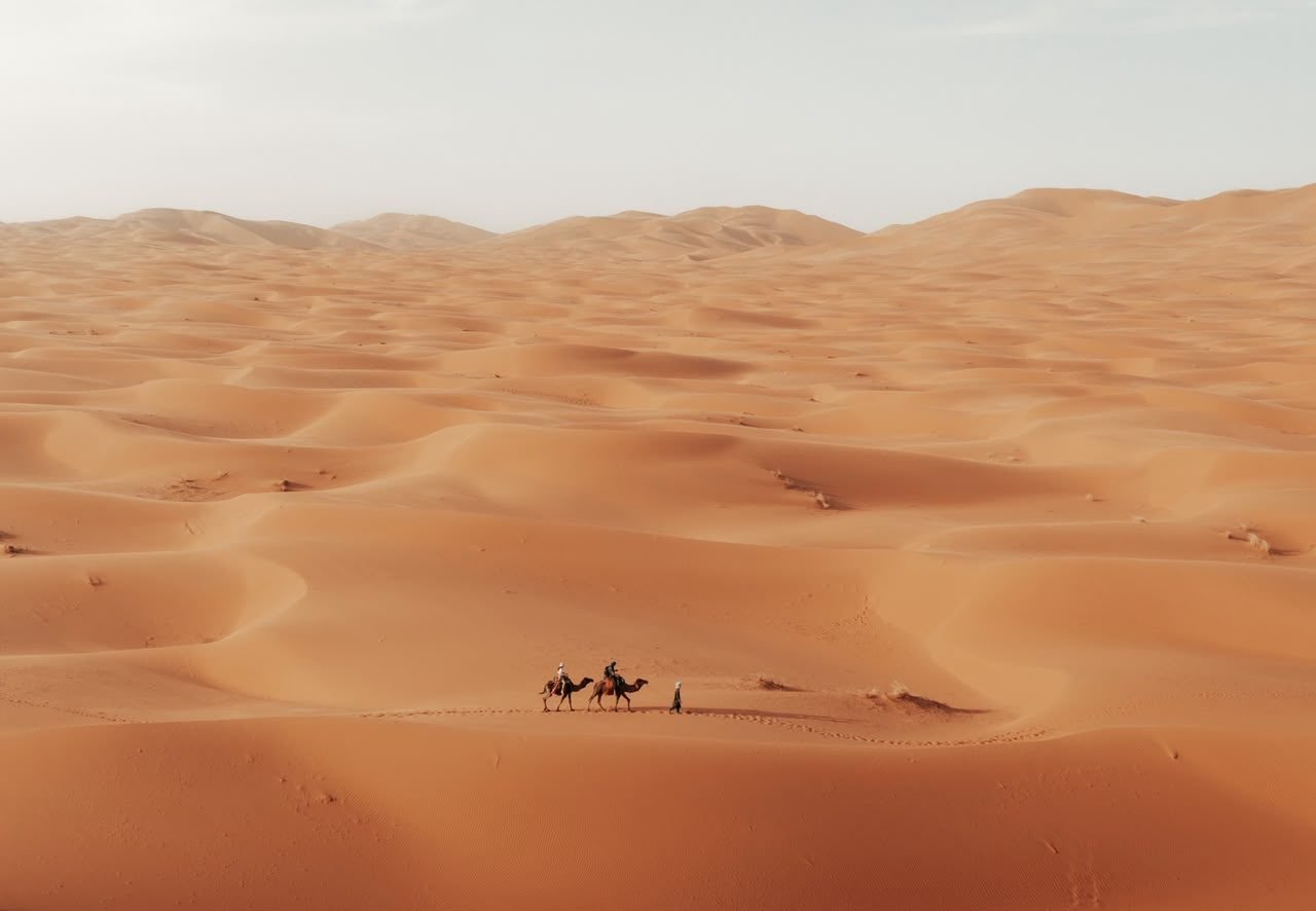 Camel trek in the Erg Chebbi dunes, Merzouga